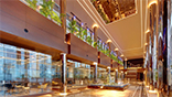 YDA CENTER